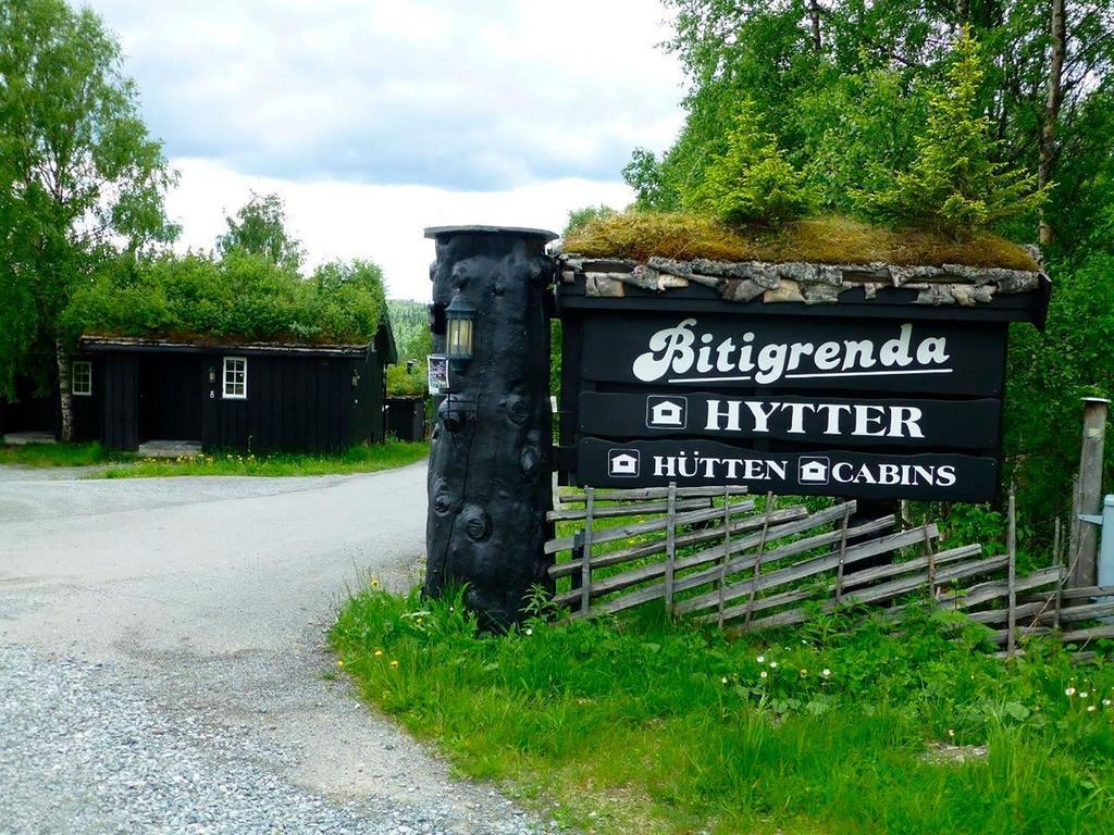Bitigrenda N Villa Beitostolen Ngoại thất bức ảnh